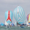 August 2016 » Cowes Week Day 3. Photos by Ingrid Abery