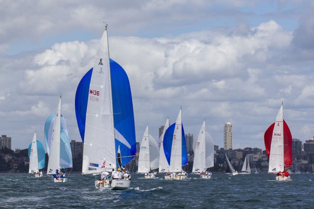 Sydney Harbor Race