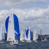 Sydney Harbor Race