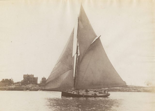 VIOLET under sail. Image by N.L. Stebbins courtesy Historic New England
