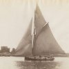 VIOLET under sail. Image by N.L. Stebbins courtesy Historic New England