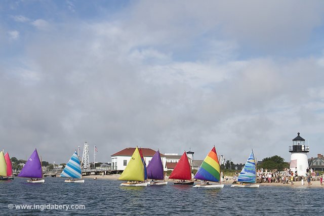 Opera House Cup. Photos by Ingrid Abery.