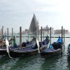 Venice Hospitality Cup. Photos by Matteo Bertolin